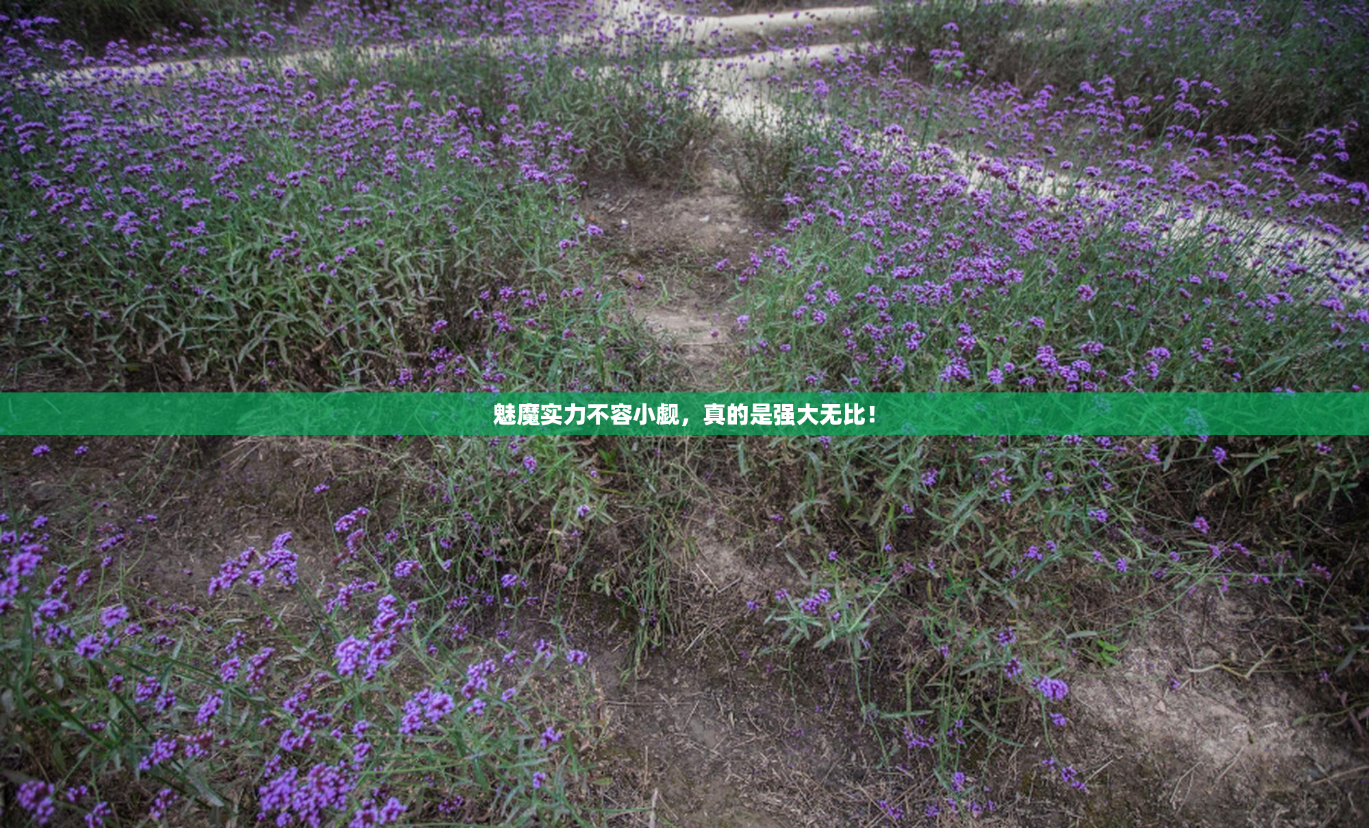魅魔实力不容小觑，真的是强大无比！