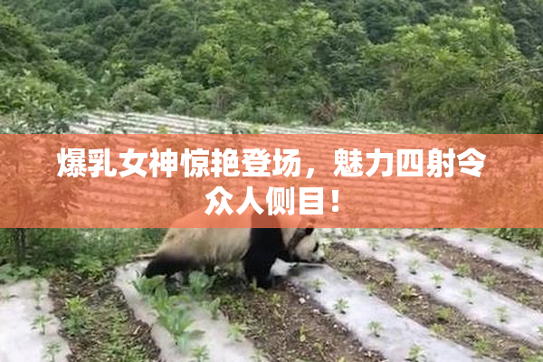 爆乳女神惊艳登场，魅力四射令众人侧目！