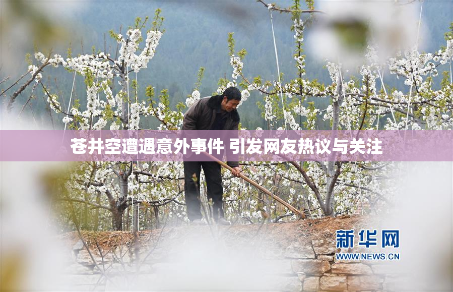 苍井空遭遇意外事件 引发网友热议与关注