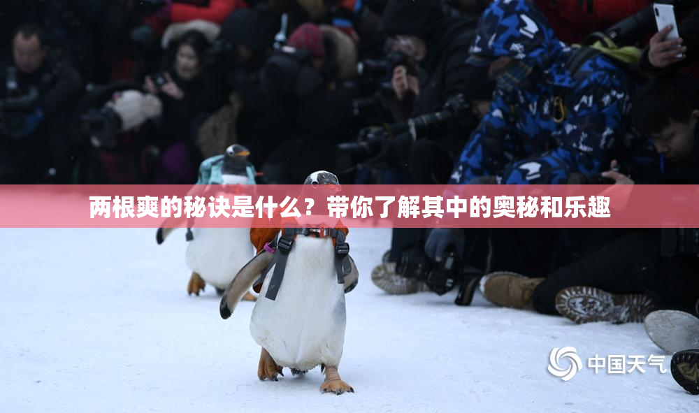 两根爽的秘诀是什么？带你了解其中的奥秘和乐趣