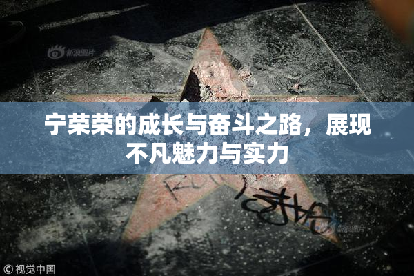 宁荣荣的成长与奋斗之路，展现不凡魅力与实力