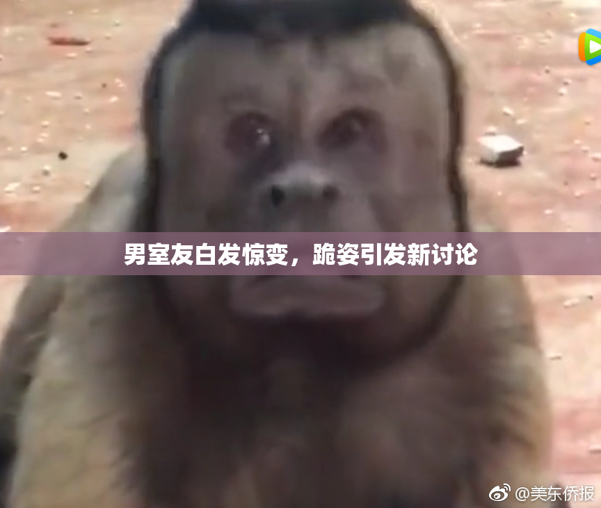 男室友白发惊变，跪姿引发新讨论