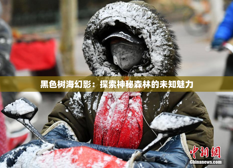 黑色树海幻影：探索神秘森林的未知魅力