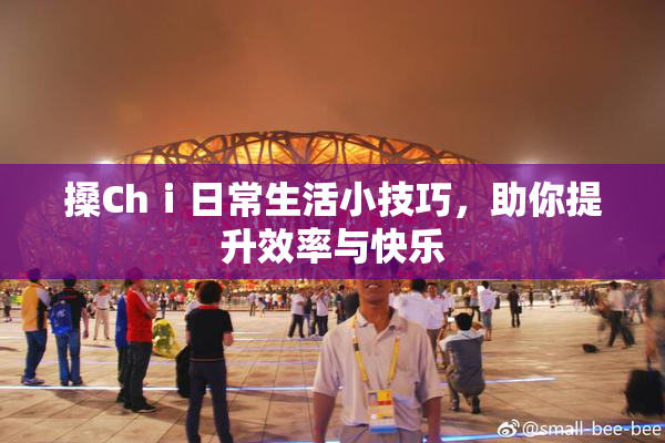 搡Chⅰ日常生活小技巧，助你提升效率与快乐