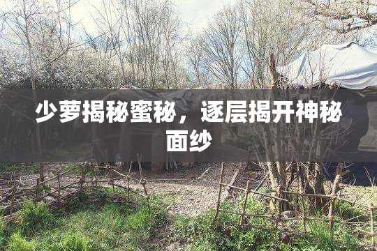 少萝揭秘蜜秘，逐层揭开神秘面纱