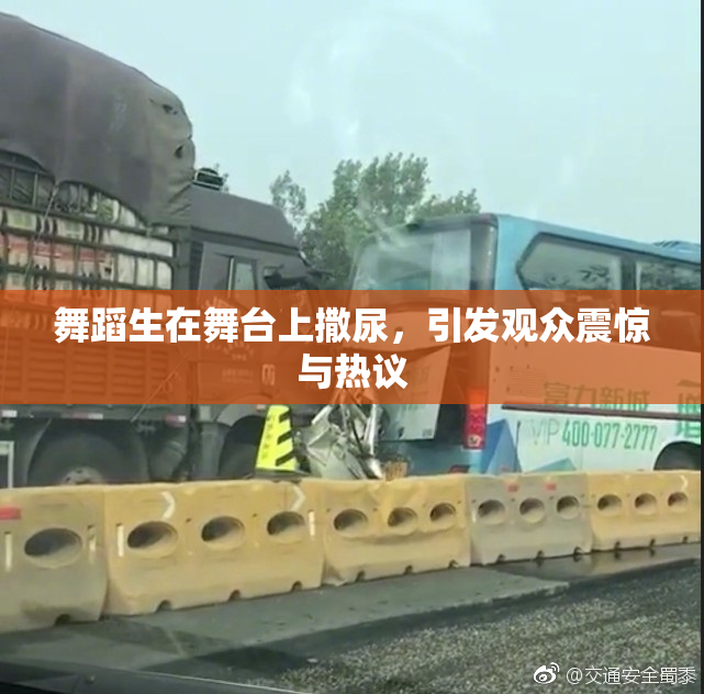 舞蹈生在舞台上撒尿，引发观众震惊与热议