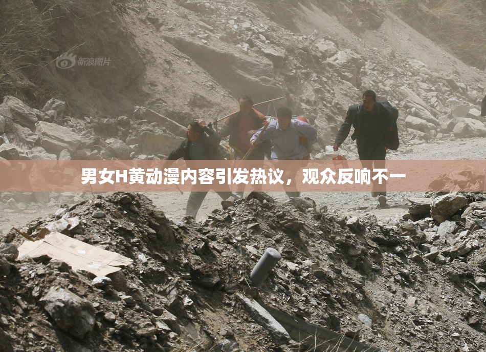 男女H黄动漫内容引发热议，观众反响不一