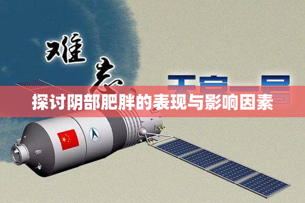 探讨阴部肥胖的表现与影响因素
