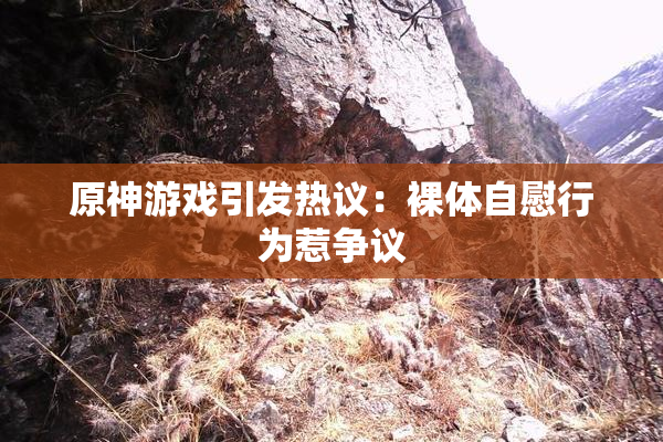 原神游戏引发热议：裸体自慰行为惹争议