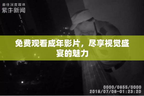 免费观看成年影片，尽享视觉盛宴的魅力