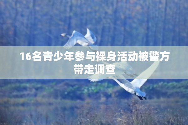 16名青少年参与裸身活动被警方带走调查