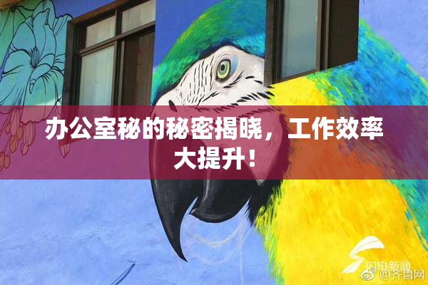 办公室秘的秘密揭晓，工作效率大提升！