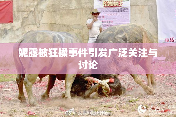 妮露被狂揉事件引发广泛关注与讨论