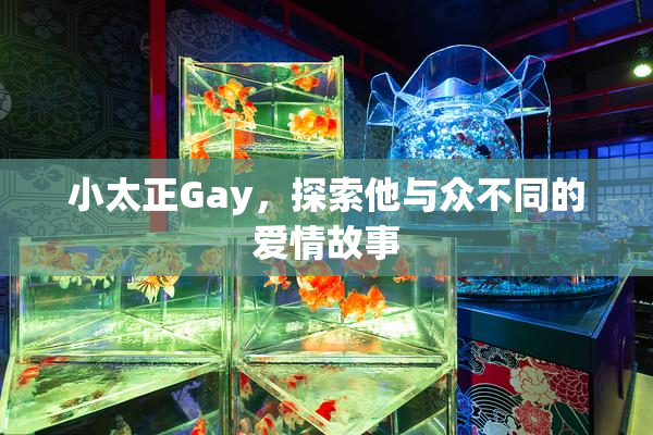 小太正Gay，探索他与众不同的爱情故事