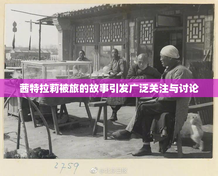 茜特拉莉被旅的故事引发广泛关注与讨论