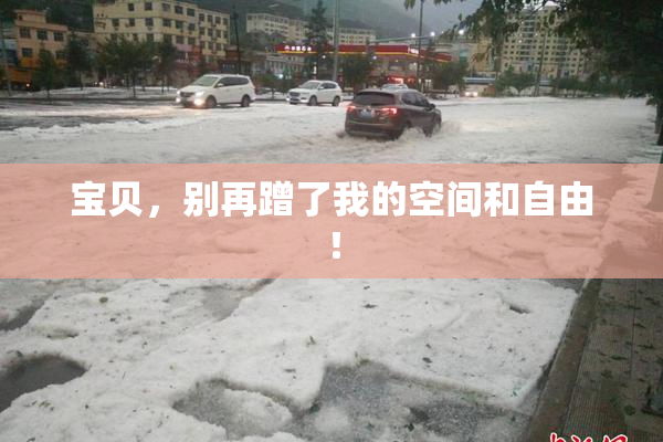 宝贝，别再蹭了我的空间和自由！