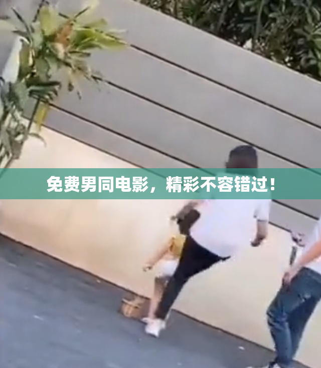 免费男同电影，精彩不容错过！