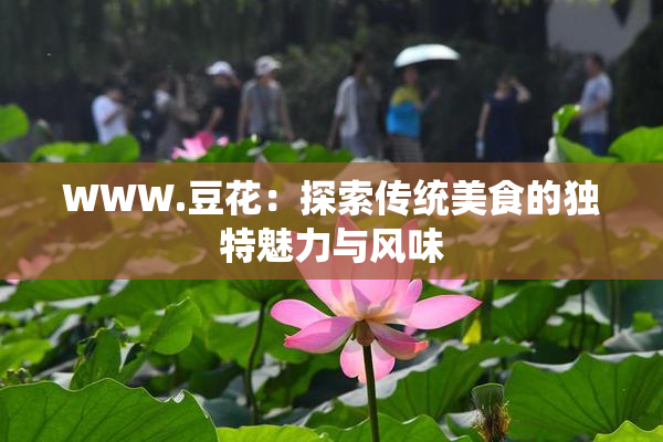 WWW.豆花：探索传统美食的独特魅力与风味