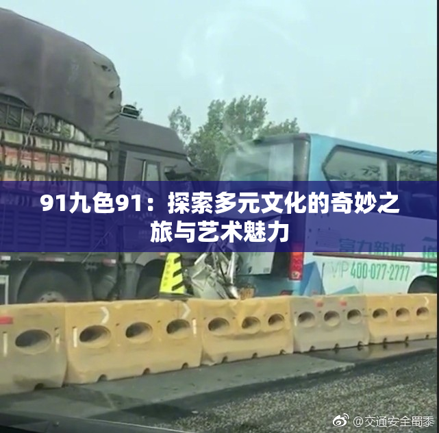 91九色91：探索多元文化的奇妙之旅与艺术魅力
