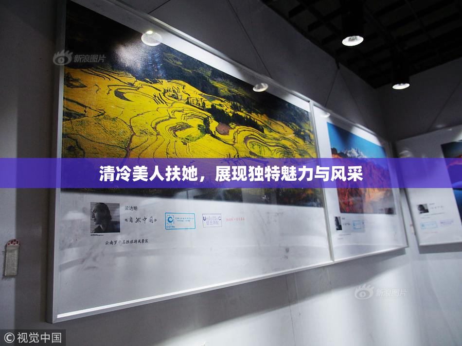 清冷美人扶她，展现独特魅力与风采