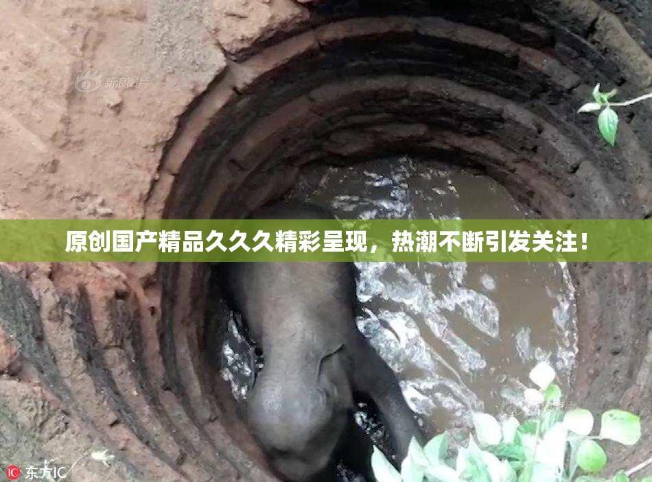 原创国产精品久久久精彩呈现，热潮不断引发关注！