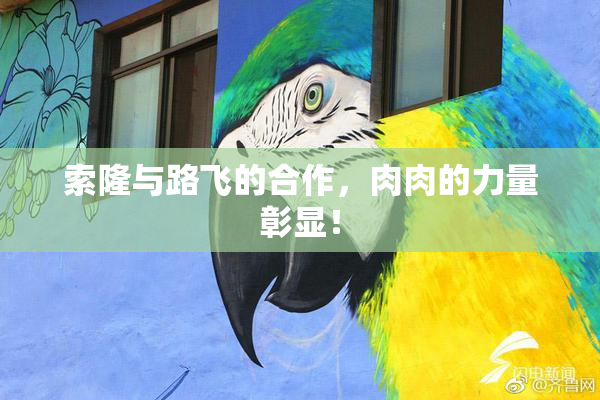 索隆与路飞的合作，肉肉的力量彰显！