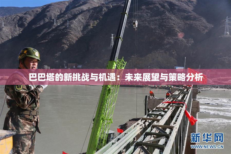 巴巴塔的新挑战与机遇：未来展望与策略分析