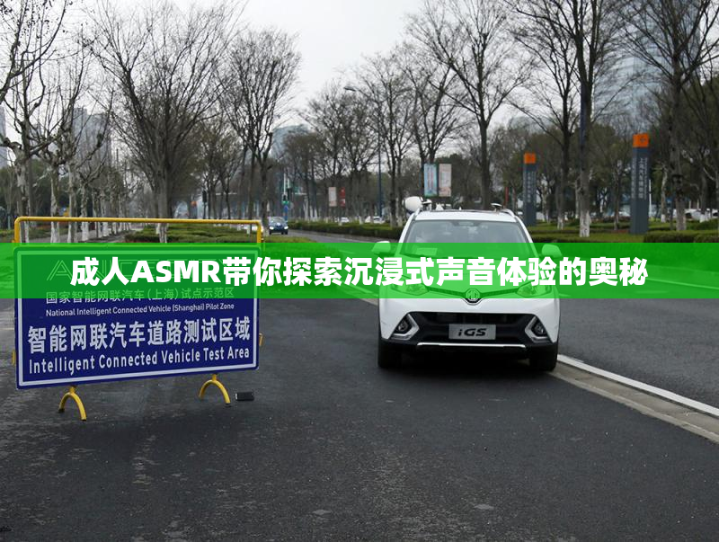 成人ASMR带你探索沉浸式声音体验的奥秘