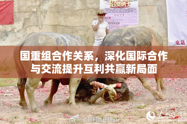 国重组合作关系，深化国际合作与交流提升互利共赢新局面