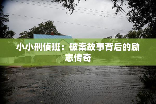 小小刑侦班：破案故事背后的励志传奇