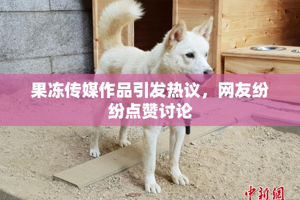 果冻传媒作品引发热议，网友纷纷点赞讨论