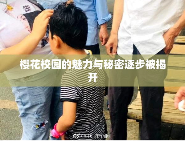 樱花校园的魅力与秘密逐步被揭开