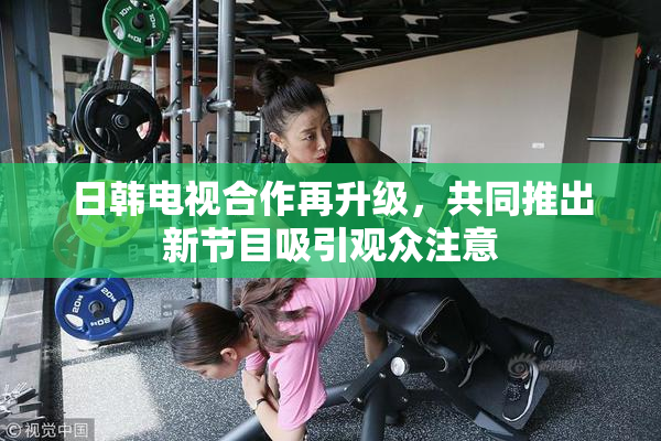 日韩电视合作再升级，共同推出新节目吸引观众注意