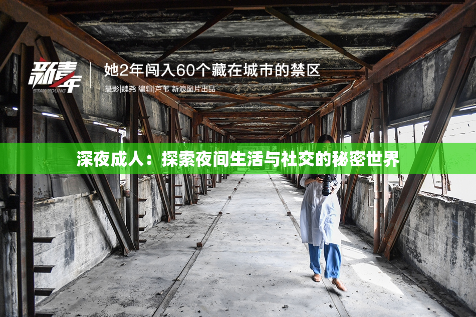深夜成人：探索夜间生活与社交的秘密世界