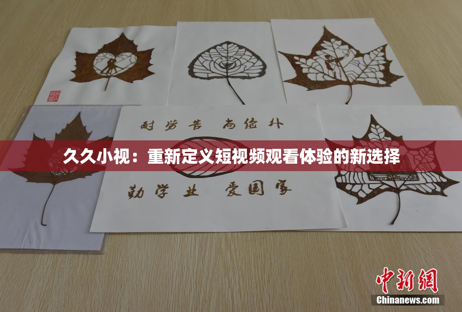 久久小视：重新定义短视频观看体验的新选择