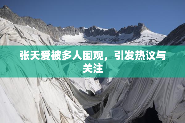 张天爱被多人围观，引发热议与关注