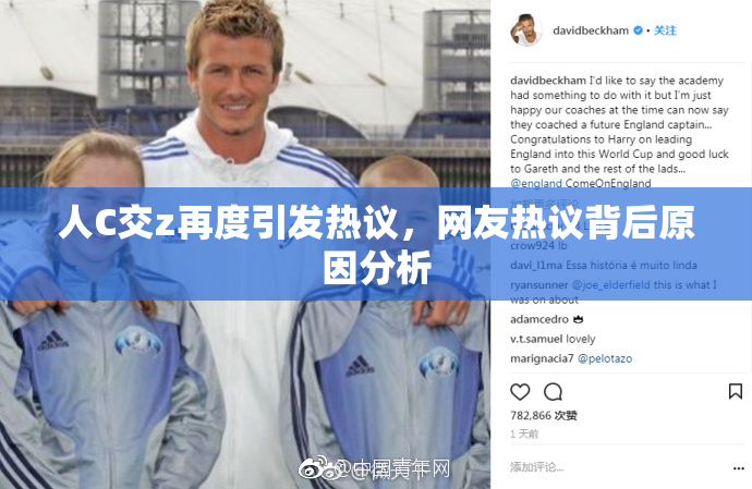 人C交z再度引发热议，网友热议背后原因分析