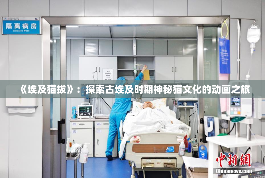 《埃及猫拔》：探索古埃及时期神秘猫文化的动画之旅