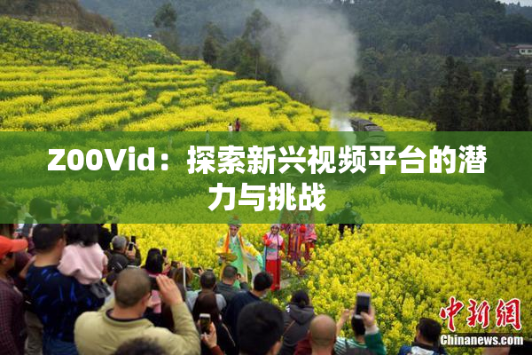 Z00Vid：探索新兴视频平台的潜力与挑战