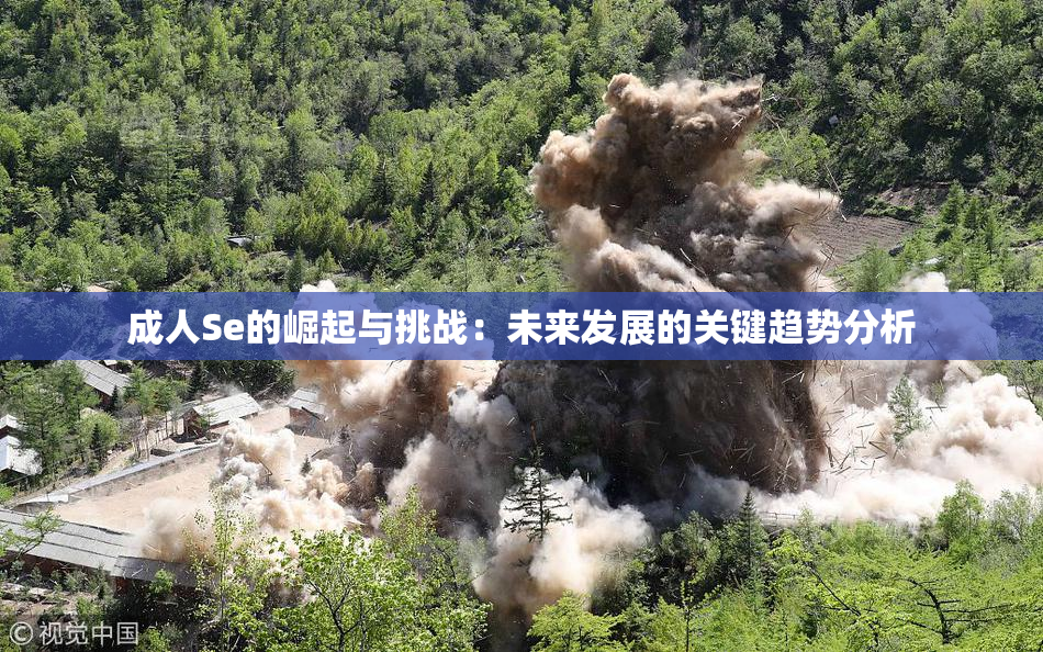 成人Se的崛起与挑战：未来发展的关键趋势分析
