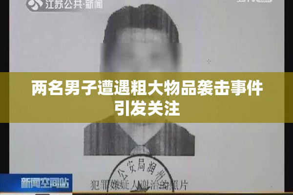 两名男子遭遇粗大物品袭击事件引发关注
