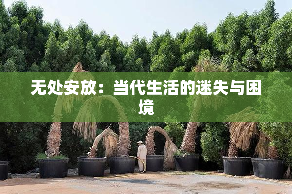 无处安放：当代生活的迷失与困境