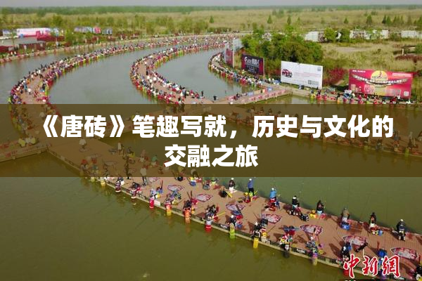 《唐砖》笔趣写就，历史与文化的交融之旅