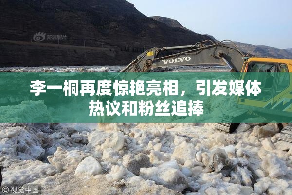 李一桐再度惊艳亮相，引发媒体热议和粉丝追捧