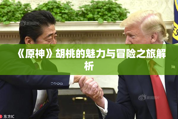 《原神》胡桃的魅力与冒险之旅解析