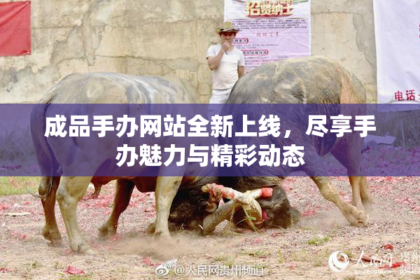 成品手办网站全新上线，尽享手办魅力与精彩动态