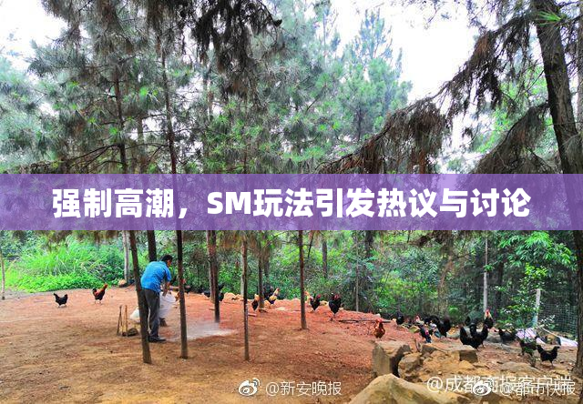强制高潮，SM玩法引发热议与讨论