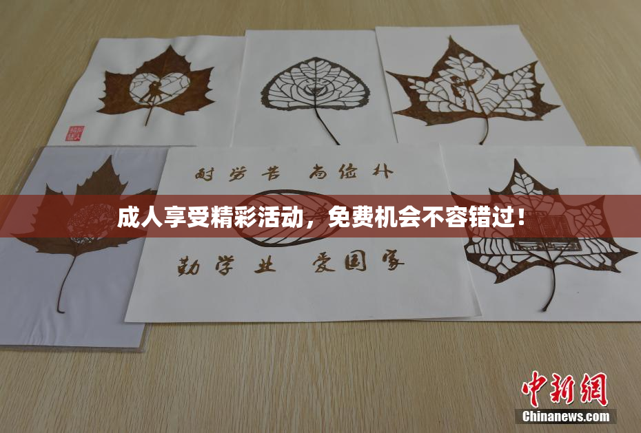 成人享受精彩活动，免费机会不容错过！