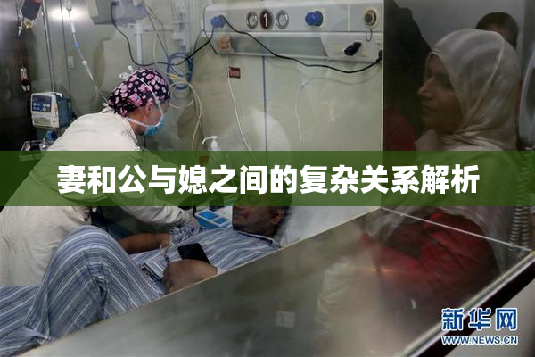 妻和公与媳之间的复杂关系解析