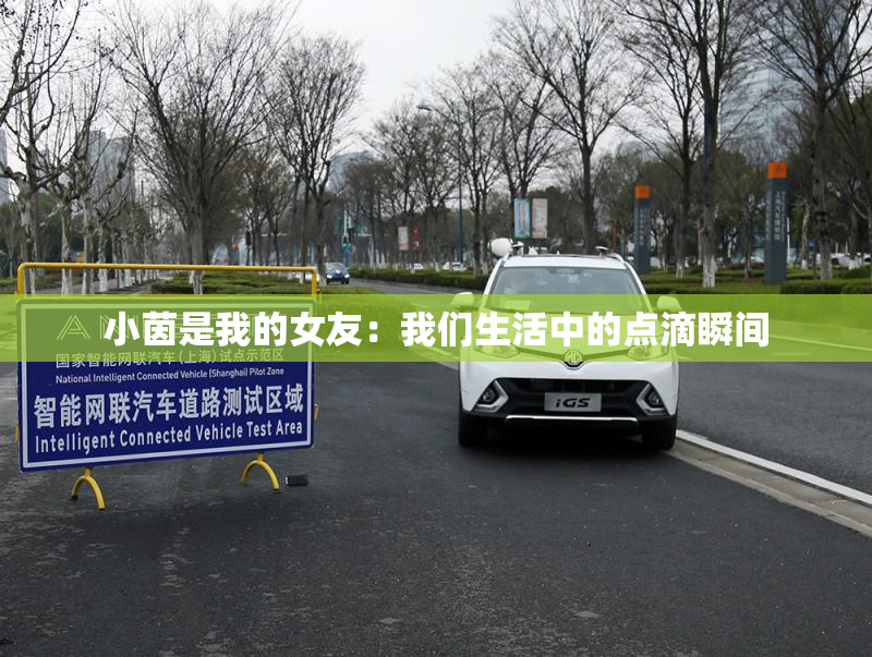 小茵是我的女友：我们生活中的点滴瞬间